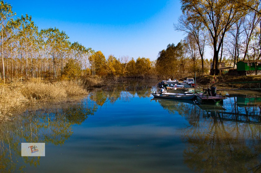 Brescello, il piume Po - Turista a due passi da casa
