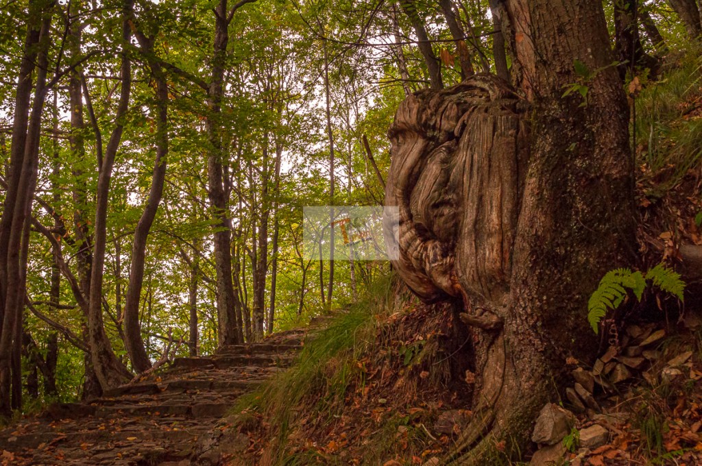 Mulini di Piero, sentiero verso Montviasco - Turista a due passi da casa