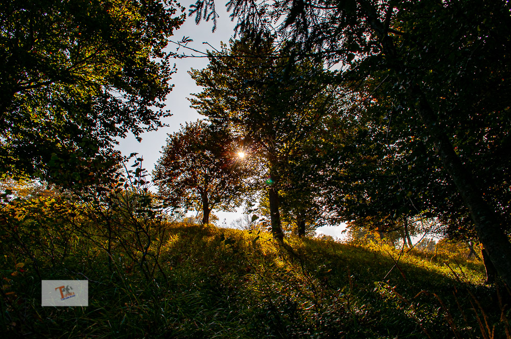 Morissolo, Linea Cadorna, verso le Carbonaie - Turista a due passi da casa