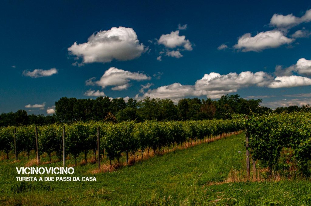 Una pedalata tra castelli, rogge e risaie in provincia di&nbsp;Novara