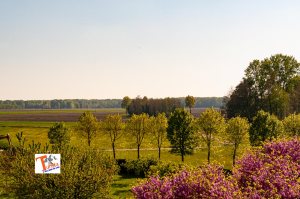 La pianura nella zona di Morimondo -Turista a due passi da casa