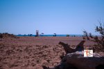 Spiaggia di Piscinas, Turista a due passi da casa