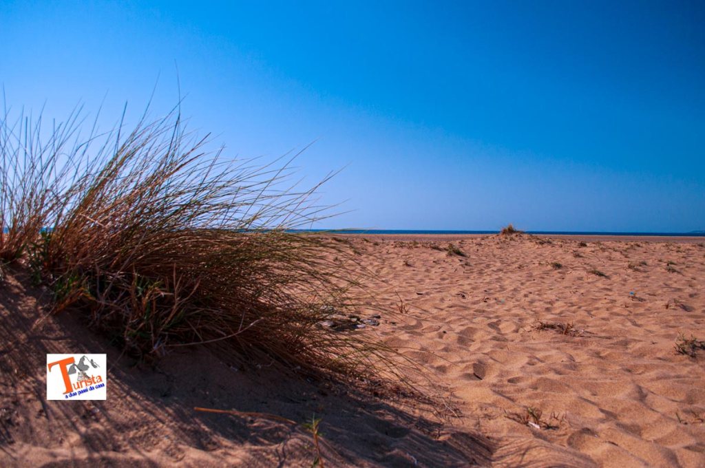Spiaggia e dune di Piscinas, Turista a due passi da casa