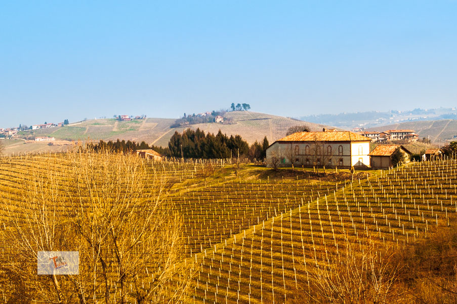 In bicicletta tra le colline del&nbsp;nebbiolo