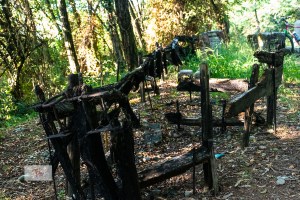 Ipposidra, Tornavento, resti di barca - Turista a due passi da casa