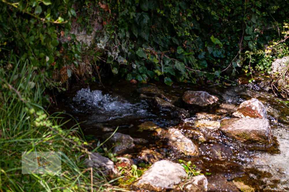 Popoli, Sorgente del Pescara, una polla - Turista a due passi da casa