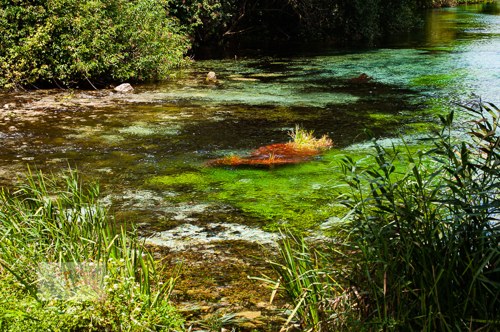 Popoli, Sorgente del Pescara - Turista a due passi da casa