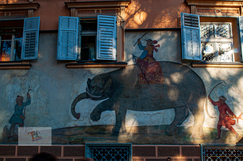 Bressanone, elefante Soliman - Turista a due passi da casa