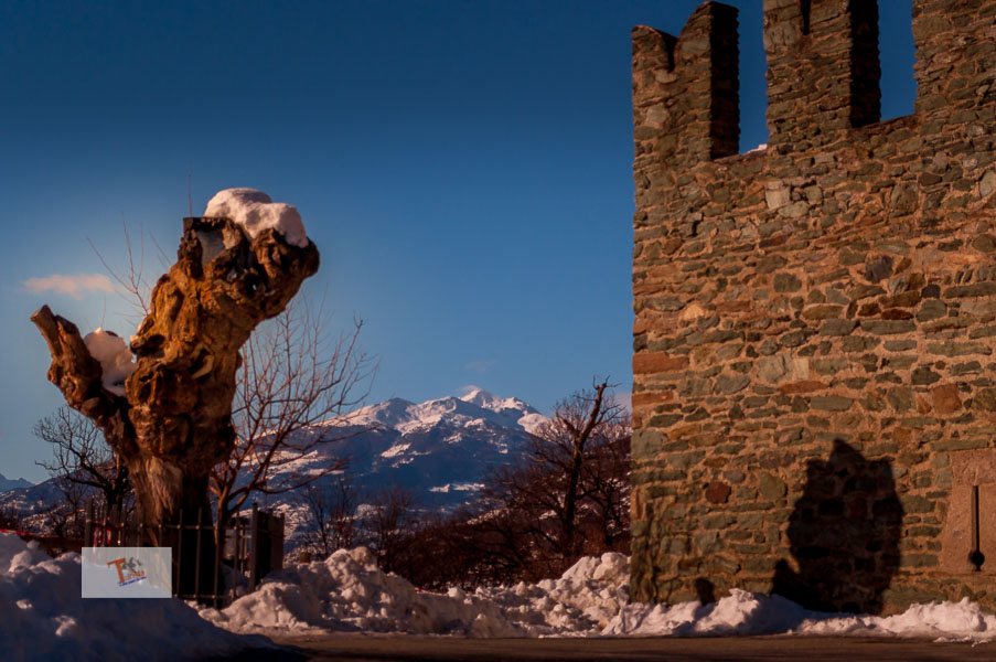 Fenis, il castello, particolare- Turista a due passi da casa