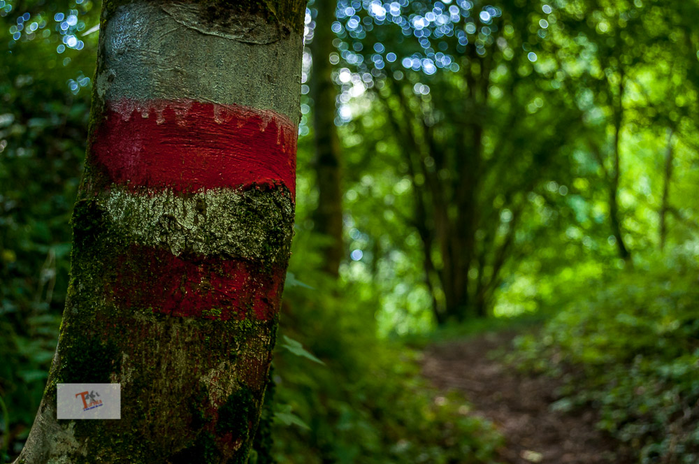 Zuglio, percorso trekking San Pietro in Carnia, indicazioni - Turista a due passi da casa