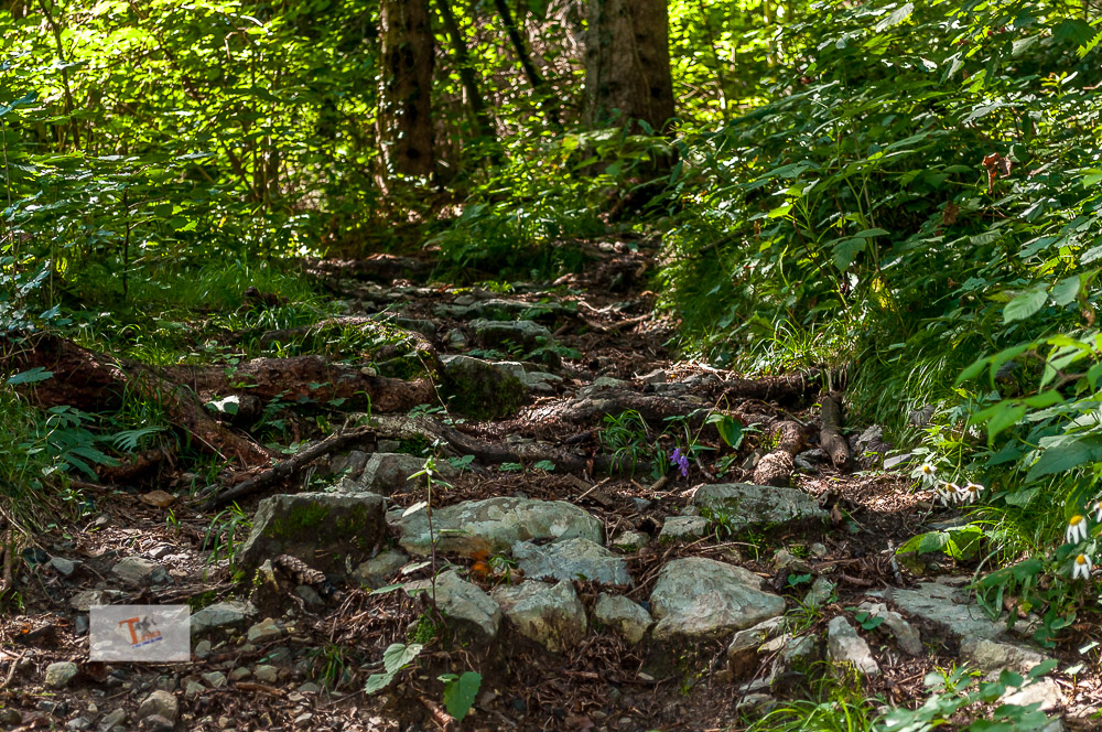 Zuglio, percorso trekking San Pietro in Carnia - Turista a due passi da casa