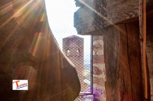 Tour delle Langhe, Alba, particolare - Turista A Due Passi Da Casa