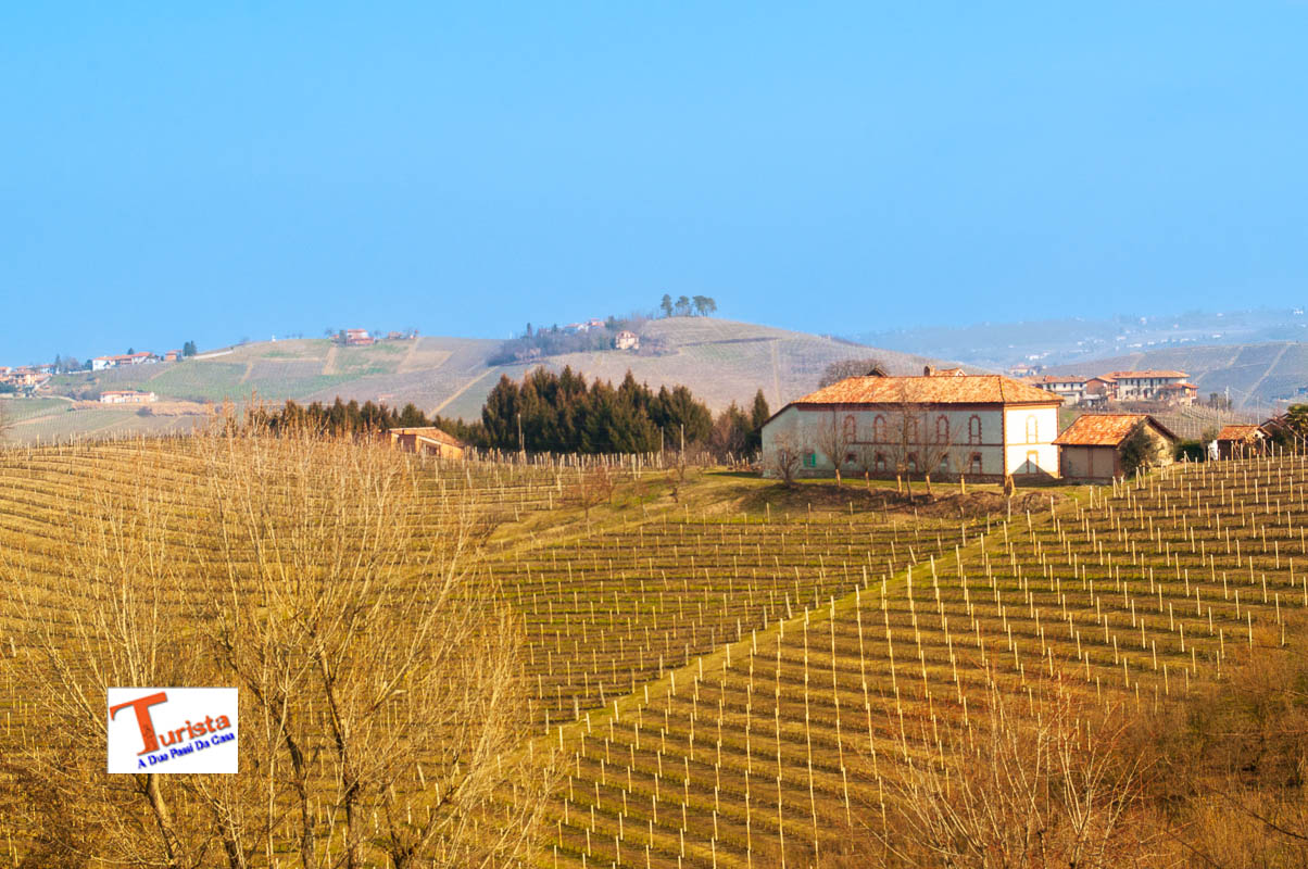 Tour delle Langhe, panorama - Turista A Due Passi Da Casa