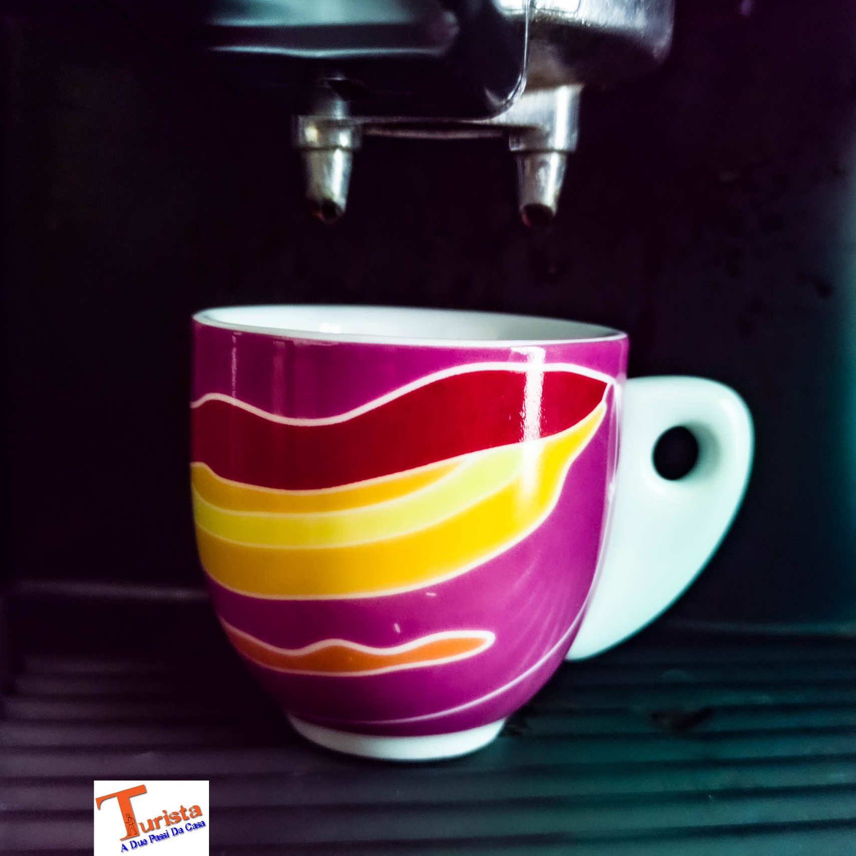 Prendere un Nero a Trieste - Turista A Due Passi Da Casa