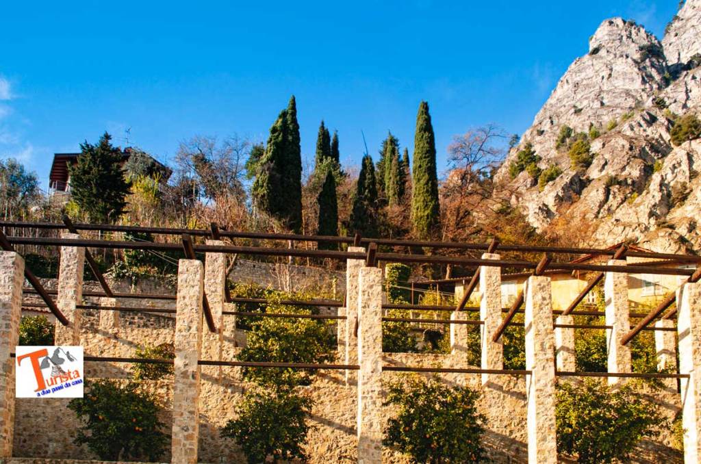 Limone del Garda, limonaia -Turista A Due Passi Da Casa