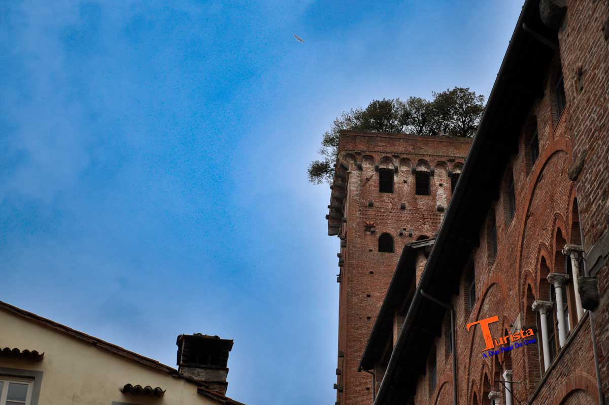 Lucca, Torre dei Guinigi - Turista A Due Passi Da Casa