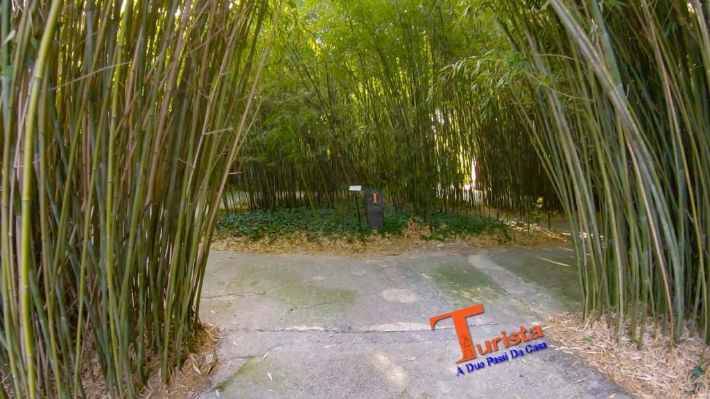 Labirinto della Masone, uno dei viali -Turista A Due Passi Da Casa