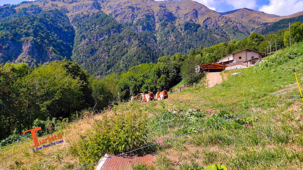 Becetto, un gioiello nascosto tra le valli&nbsp;alpine