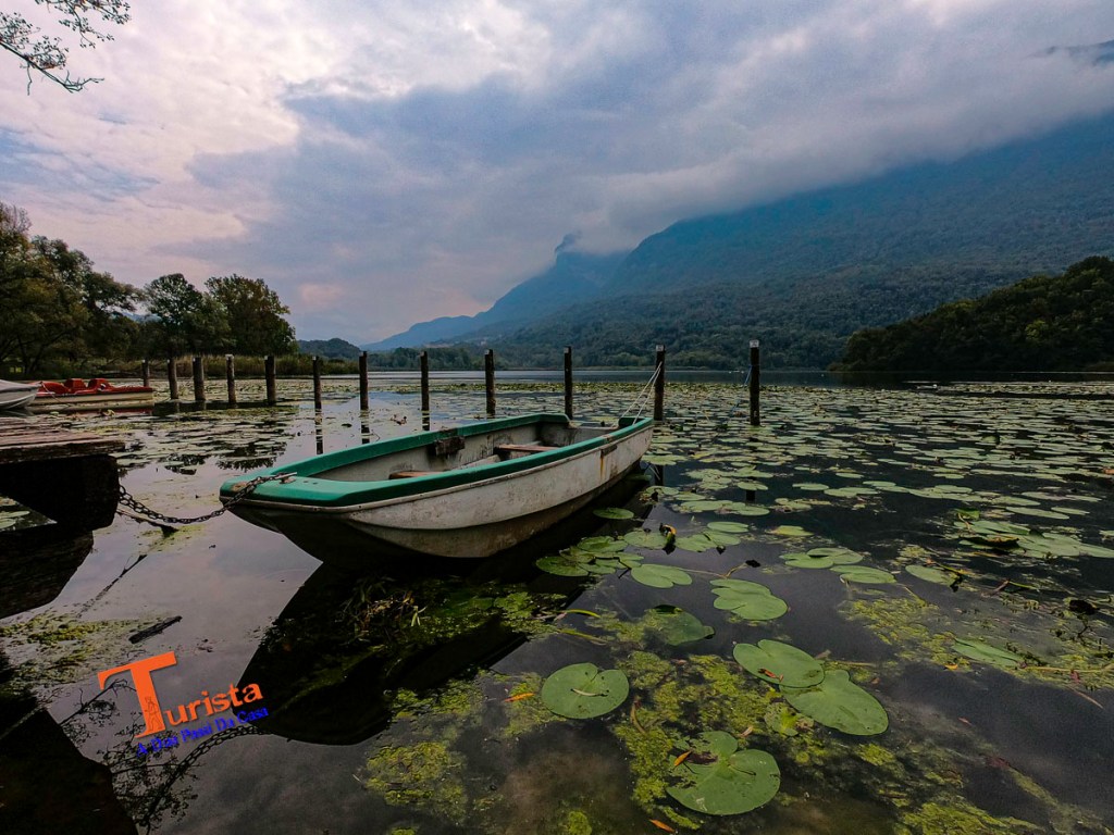 Lago di Piano, le ninfee - Turista A Due Passi Da Casa