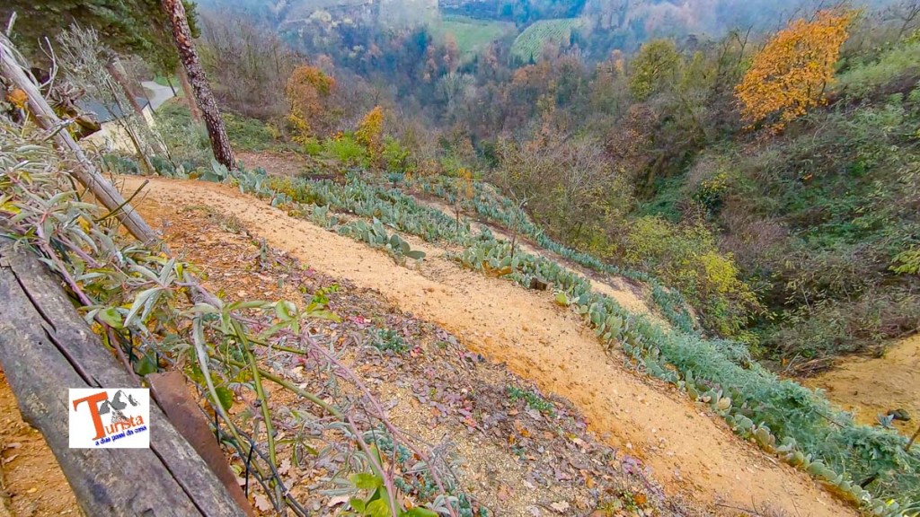 Montà, angolo esotico - Turista A Due Passi Da Casa