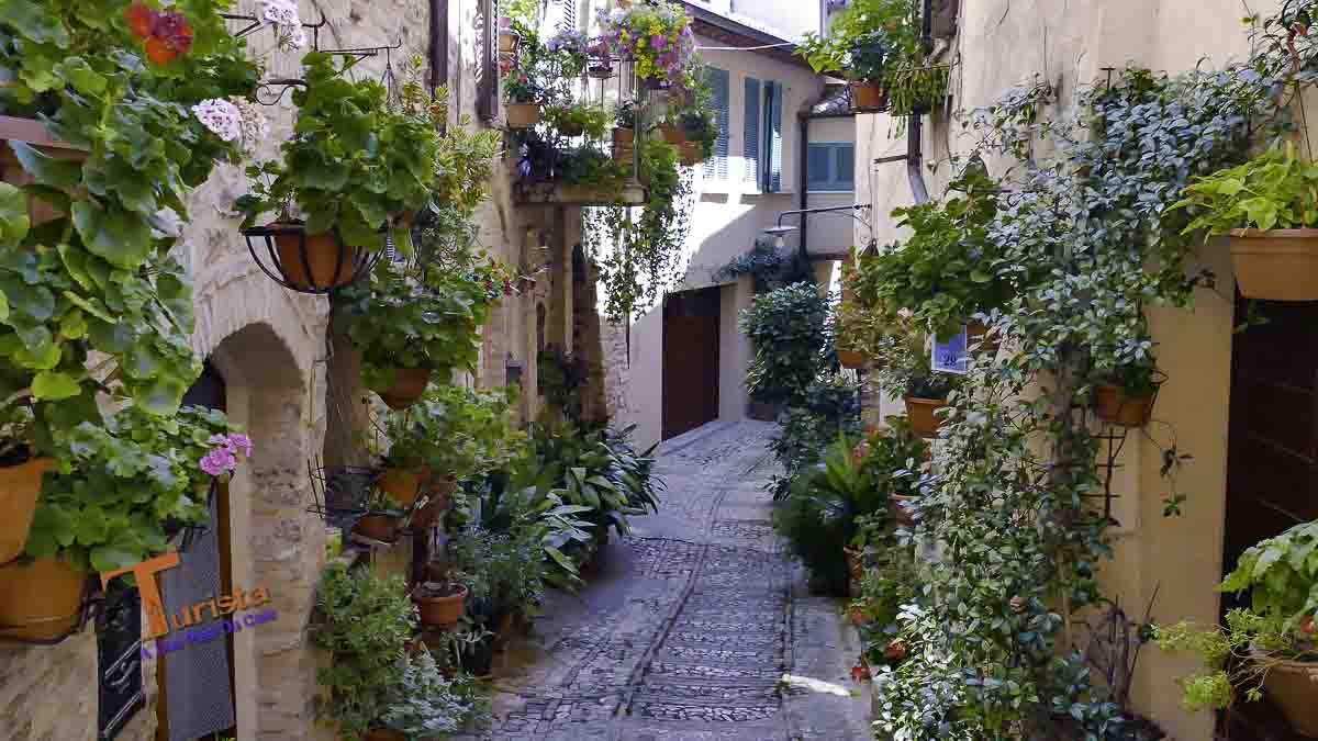Spello, via cittadina- Turista A Due Passi Da Casa