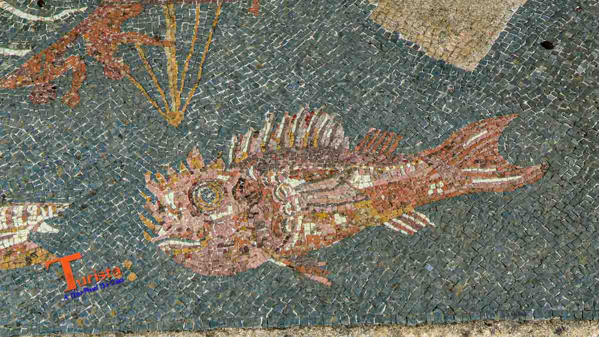 Acropoli di Populonia, parte di mosaico ex voto - Turista A Due Passi Da Casa