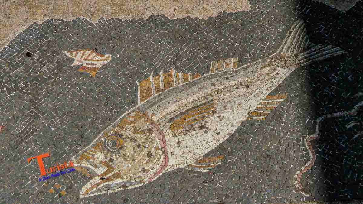 Acropoli di Populonia, parte di mosaico ex voto - Turista A Due Passi Da Casa