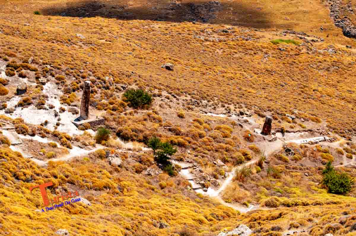 Lesbos, Grecia, Foresta Pietrificata - Turista A Due Passi Da Casa