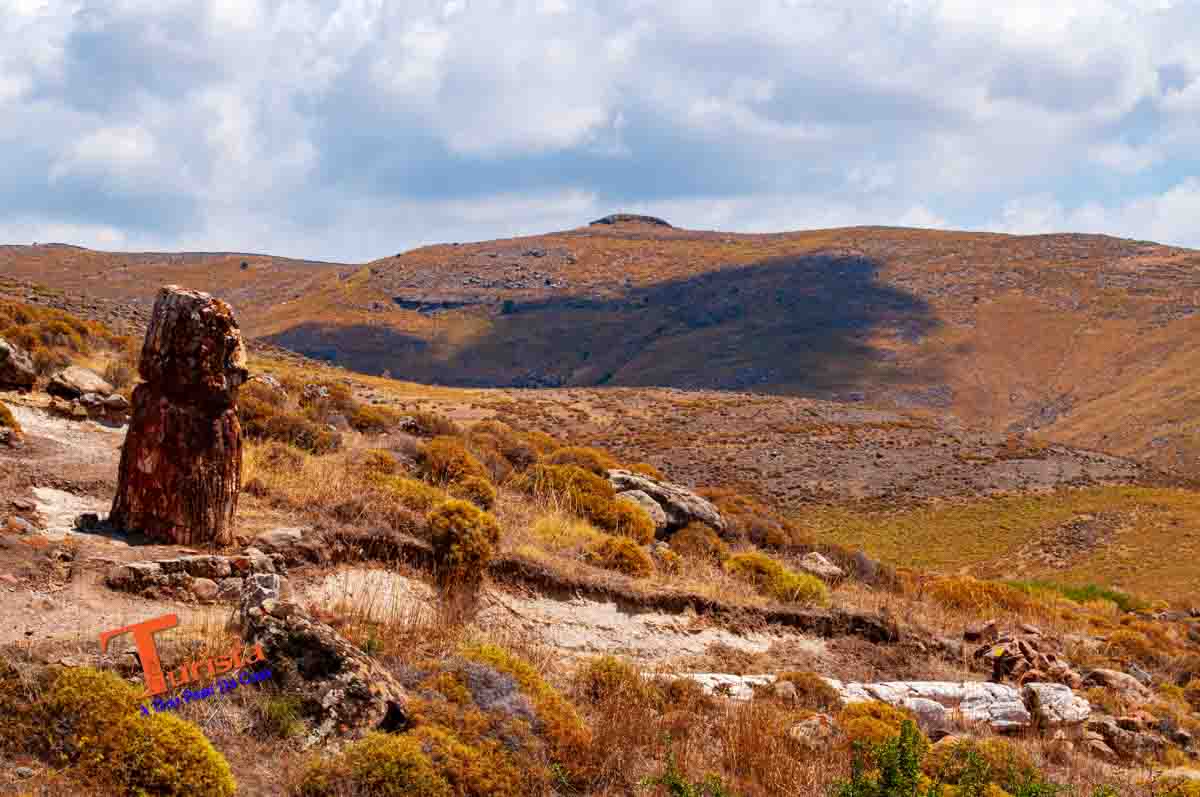 Lesbos, Grecia, Foresta Pietrificata - Turista A Due Passi Da Casa