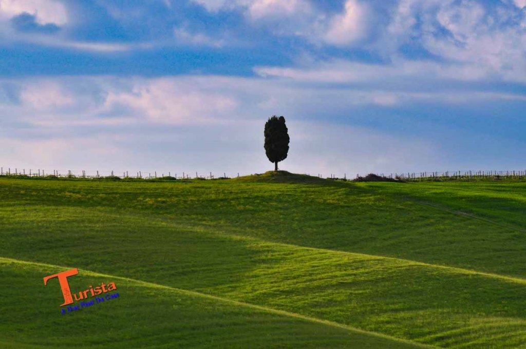 Via Francigena, le colline senesi - Turista A Due Passi Da Casa