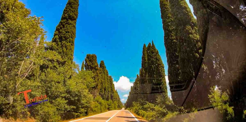 Bolgheri, viale dei Cipressi - Turista A Due Passi Da Casa
