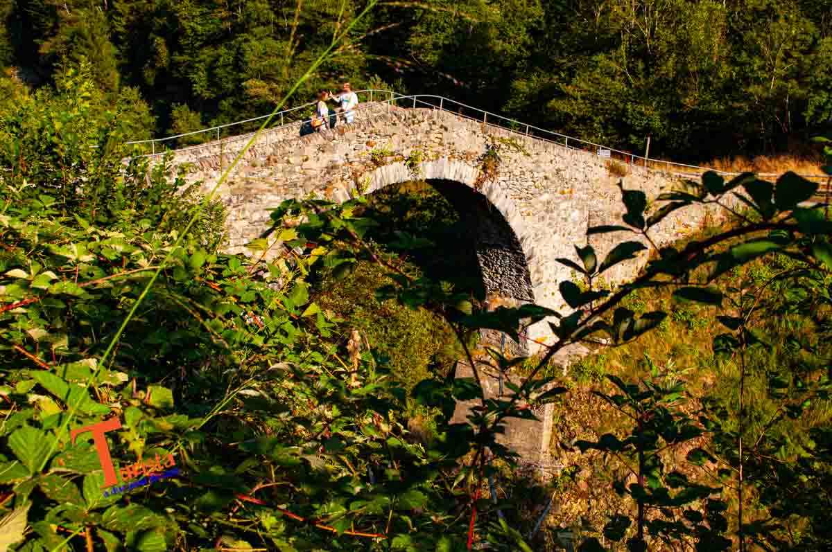 Re, ponte sul Mallione - Turista A Due Passi Da Casa