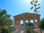 Segesta, tempio- Turista A Due Passi Da Casa