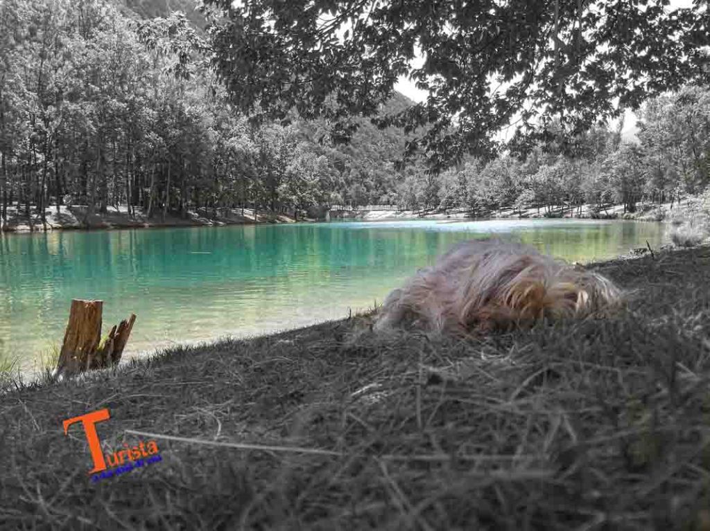 Lago di Cavazzo, relax - Turista A Due Passi Da Casa
