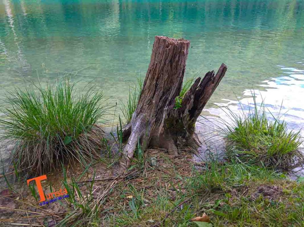 Esploriamo a Piedi il Lago di Cavazzo, il più grande del Friuli Venezia&nbsp;Giulia