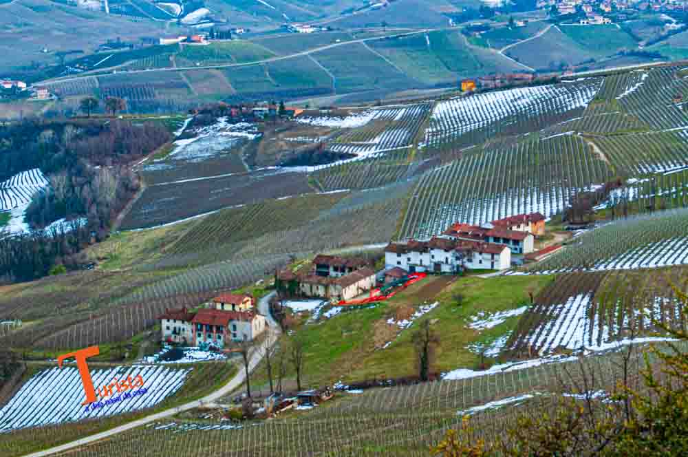 La Morra, vigneti in inverno - Turista a Due Passi Da Casa