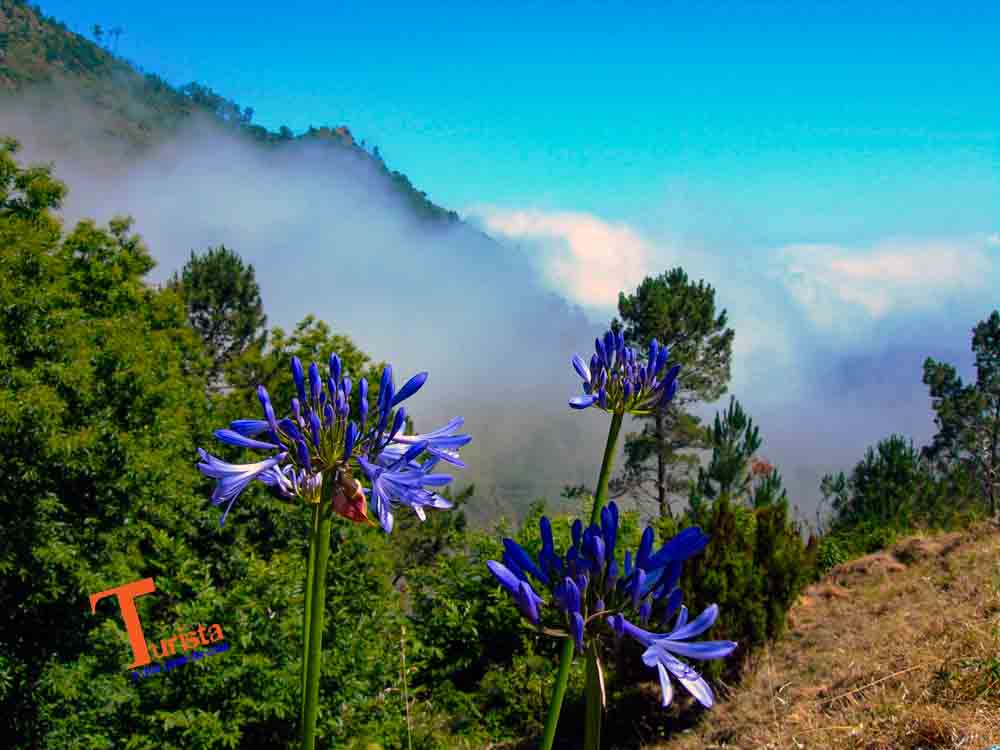 Eira do Serrado, Panorama con Aghapanthus- Turista a Due Passi Da Casa