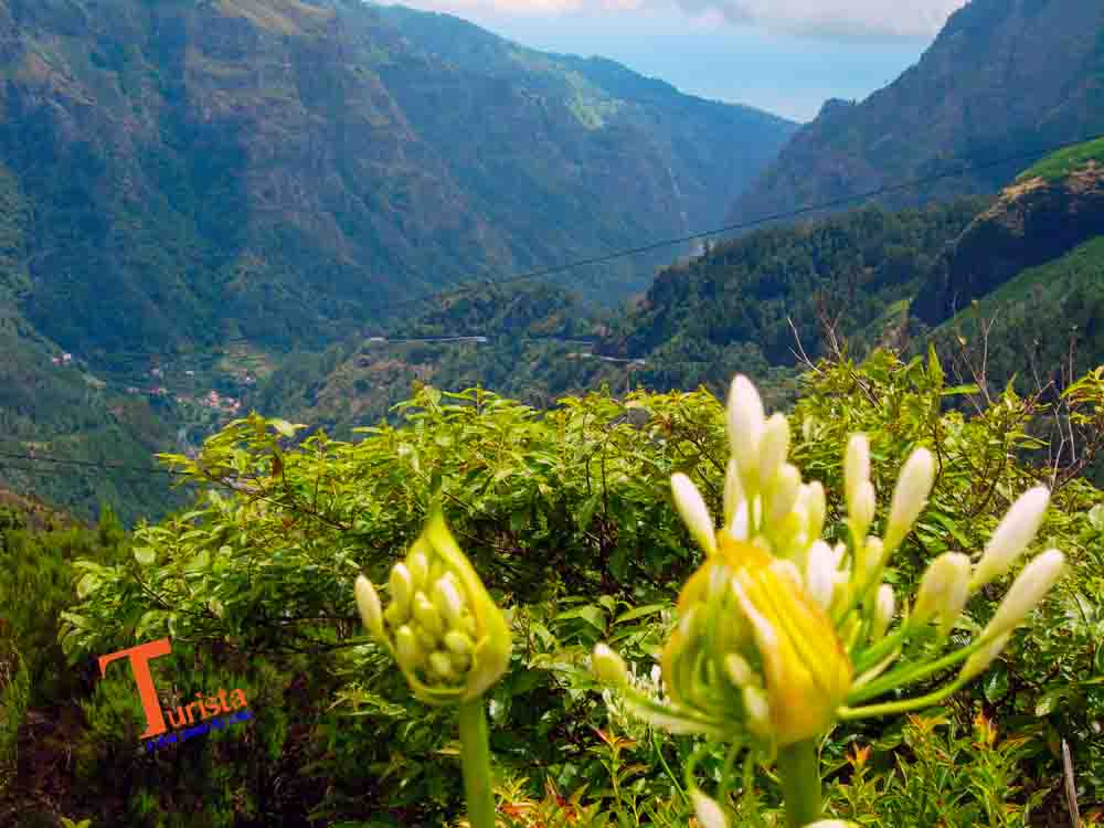 Eira do Serrado, scorcio - Turista a Due Passi Da Casa