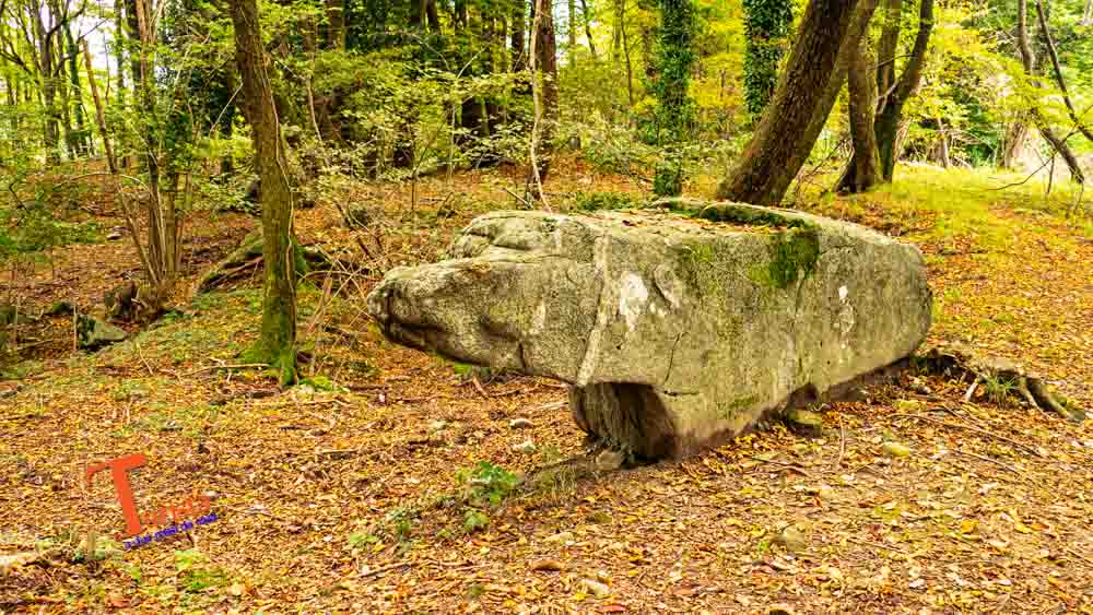 Montepiatto, Pietra dell'Orso - Turista a Due Passi Da Casa