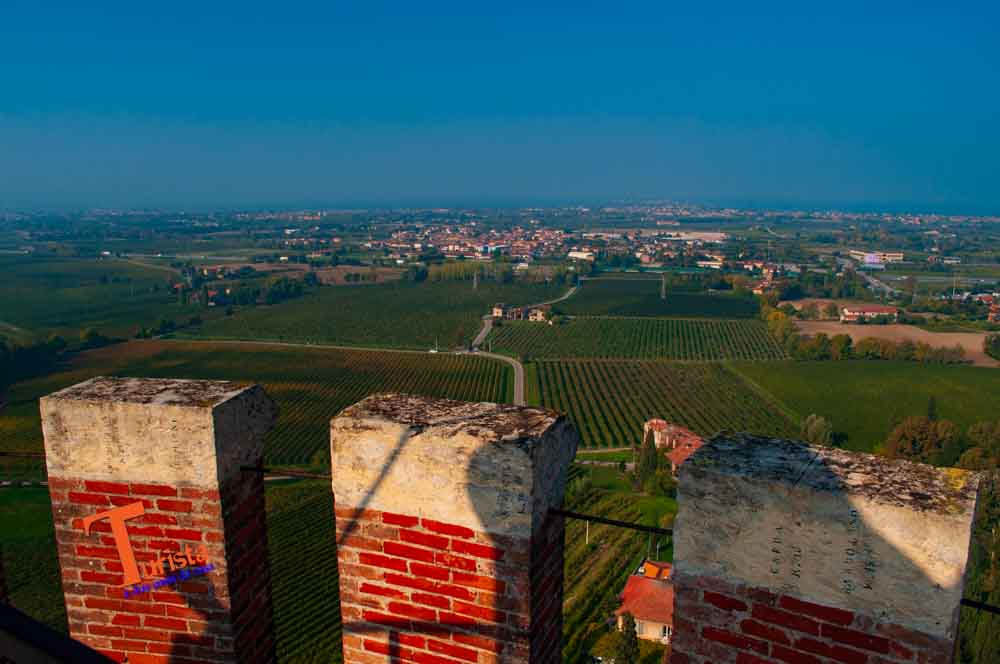 San Martino della Battaglia, panorama sui vigneti - Turista a Due Passi Da Casa