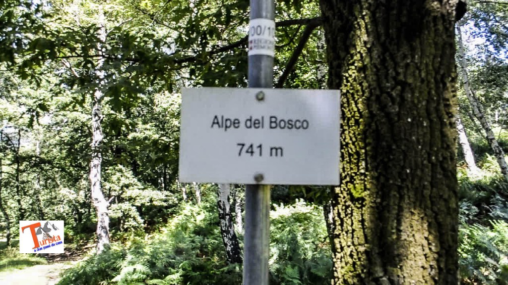 Fosseno, Alto Vergante, Alpe del Bosco- Turista A Due Passi Da Casa