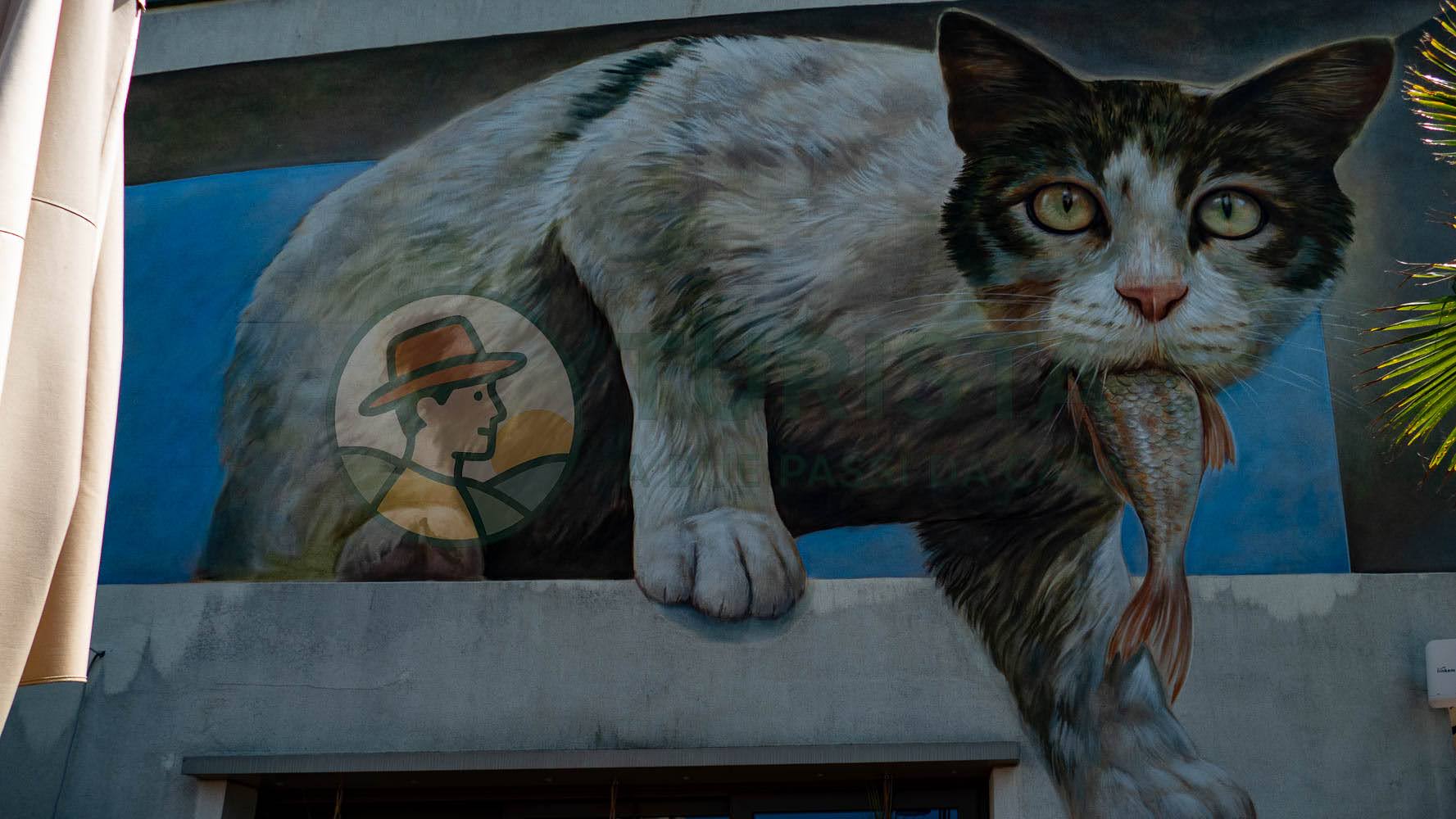 Caorle, murales  - Turista A Due Passi Da Casa