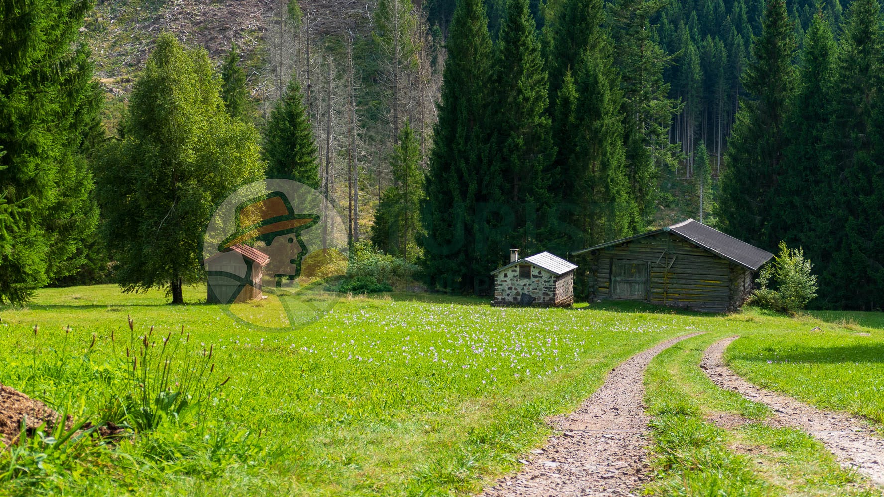 Percorso da Bellamonte per il Ponte tibetano - Turista A Due Passi Da Casa