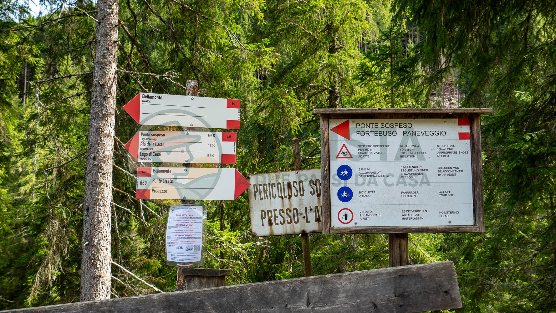 Indicazioni per il Ponte tibetano di Bellamonte - Turista A Due Passi Da Casa