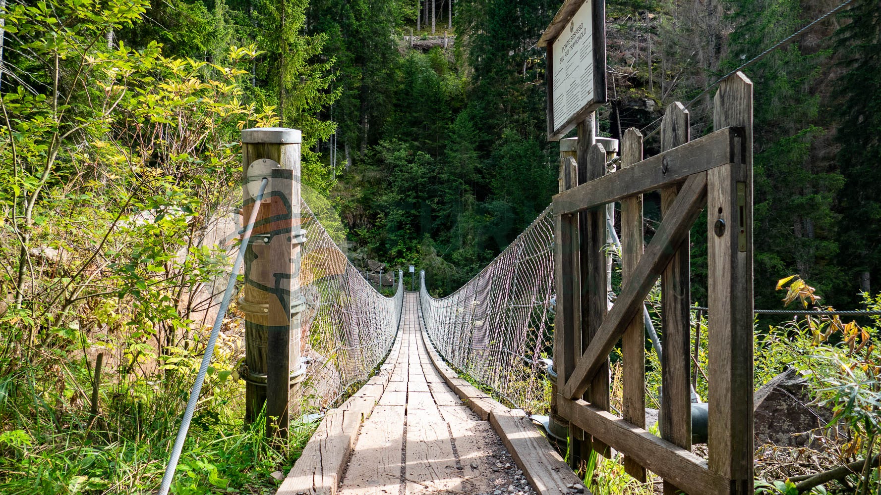Il Ponte tibetano di Bellamonte - Turista A Due Passi Da Casa