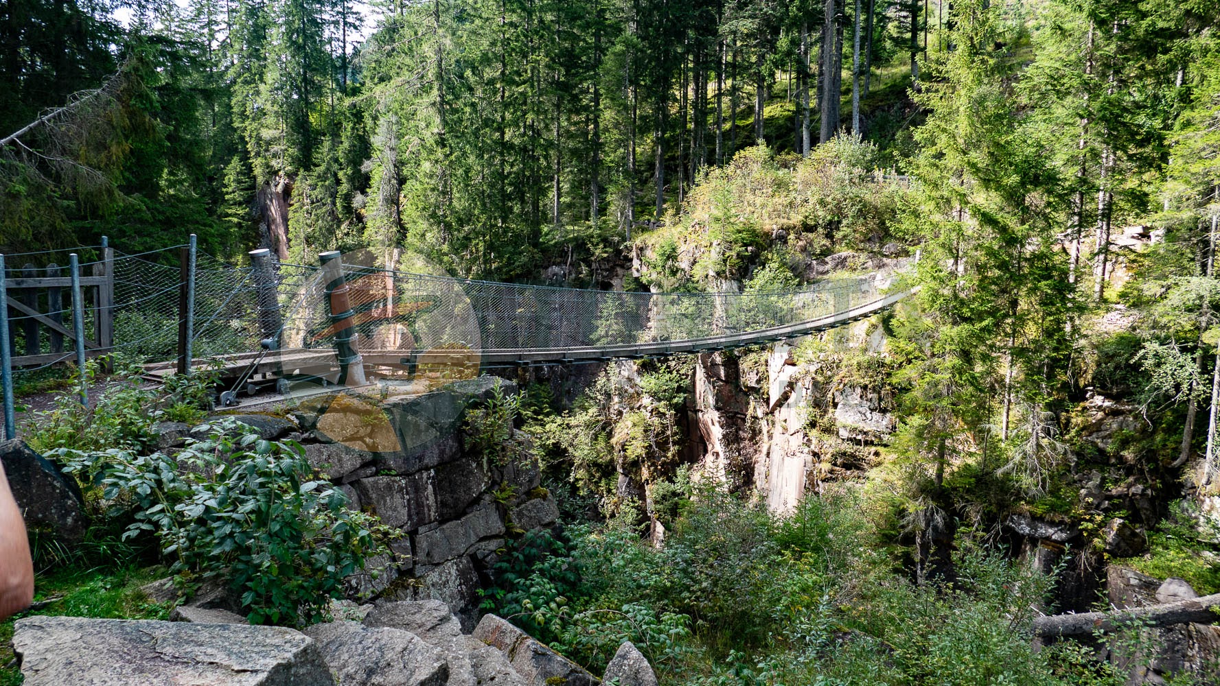 Il Ponte tibetano di Bellamonte - Turista A Due Passi Da Casa