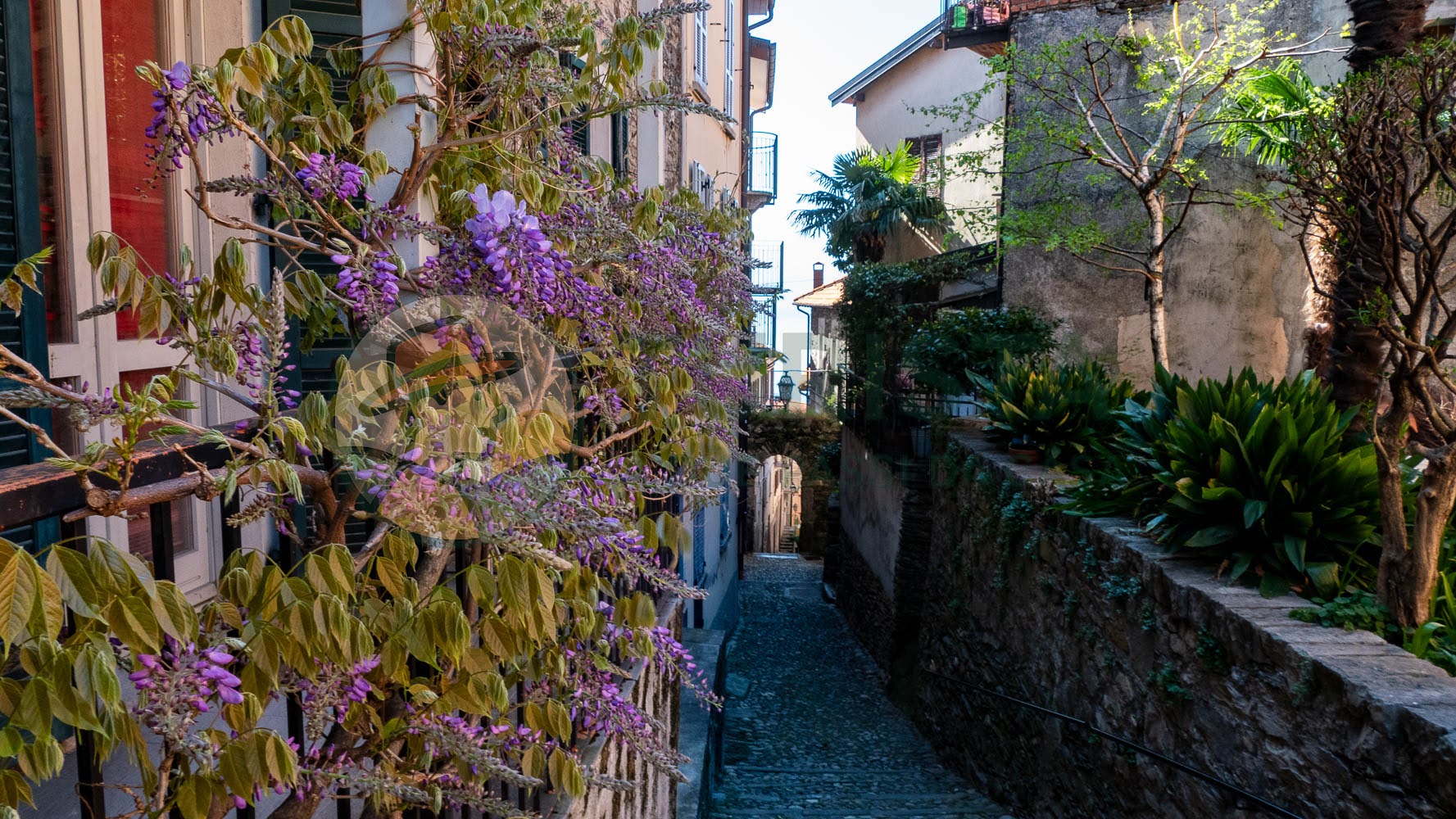 Uno dei vicoli di Santa Maria Rezzonico - Turista A Due Passi Da Casa