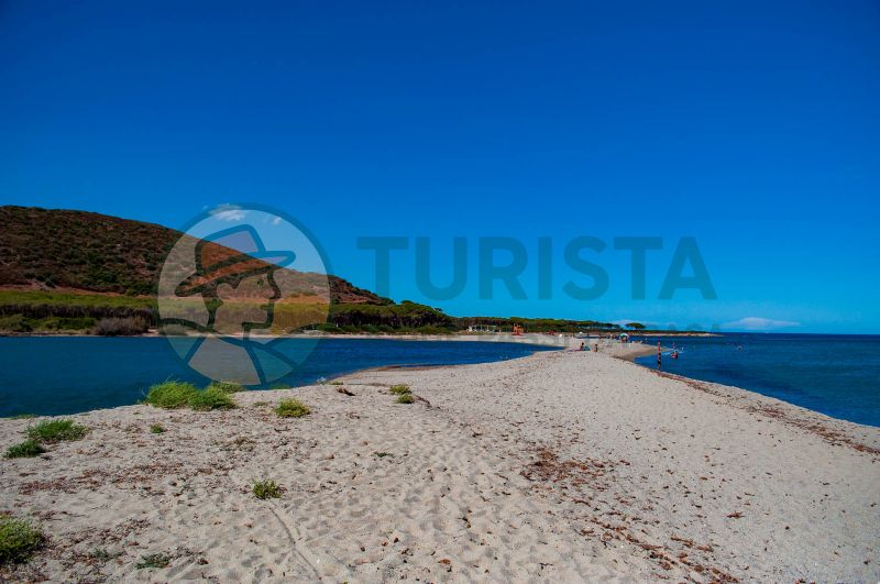 Oasi di Orvile, la spiaggia - Turista A Due Passi Da Casa