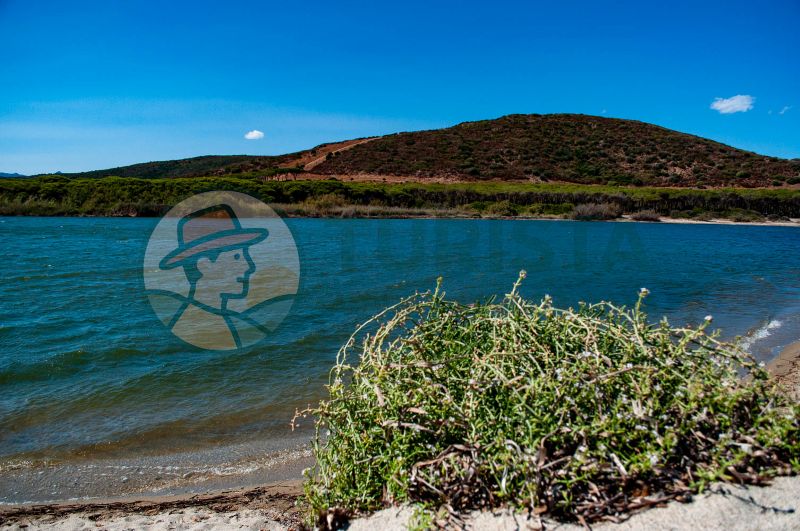 Oasi di Orvile, la spiaggia - Turista A Due Passi Da Casa
