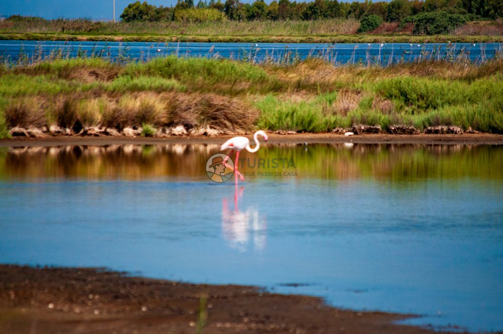 Weekend in Costa Verde: la Sardegna dei fenicotteri rosa e dune di Piscinas